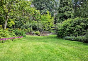 Optimiser l'expérience du jardin à La Chapelle-Saint-Martin-en-Plaine